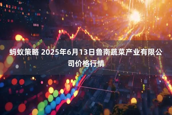 蚂蚁策略 2025年6月13日鲁南蔬菜产业有限公司价格行情