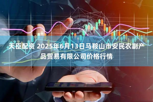 天臣配资 2025年6月13日马鞍山市安民农副产品贸易有限公司价格行情