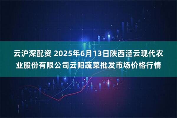 云沪深配资 2025年6月13日陕西泾云现代农业股份有限公司云阳蔬菜批发市场价格行情