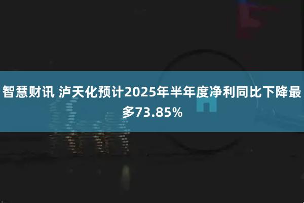 智慧财讯 泸天化预计2025年半年度净利同比下降最多73.85%