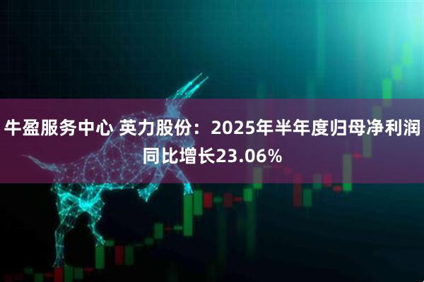 牛盈服务中心 英力股份：2025年半年度归母净利润同比增长23.06%